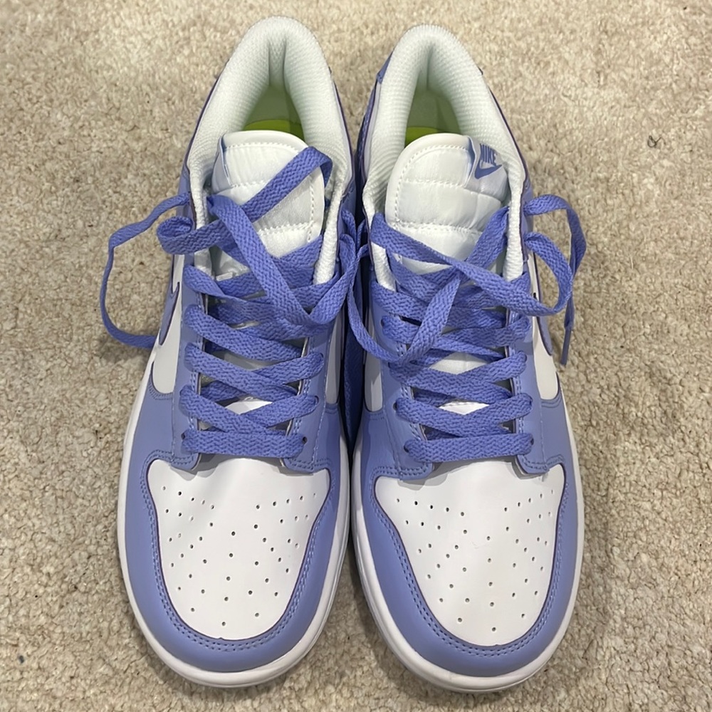 Brand new Nike dunks